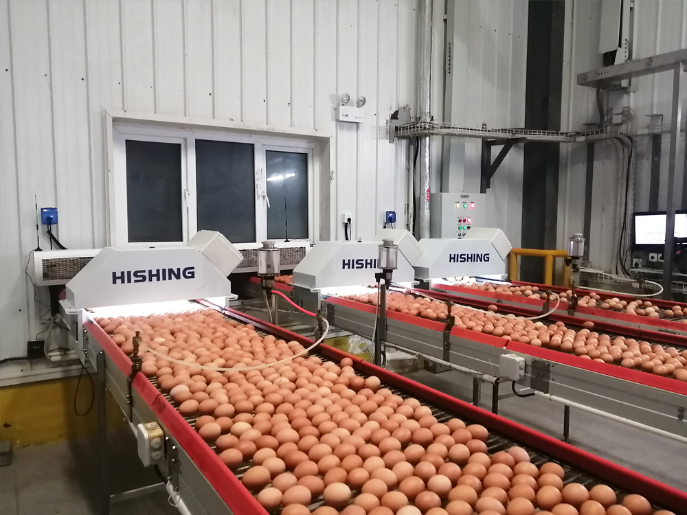 雞蛋計(jì)數(shù)